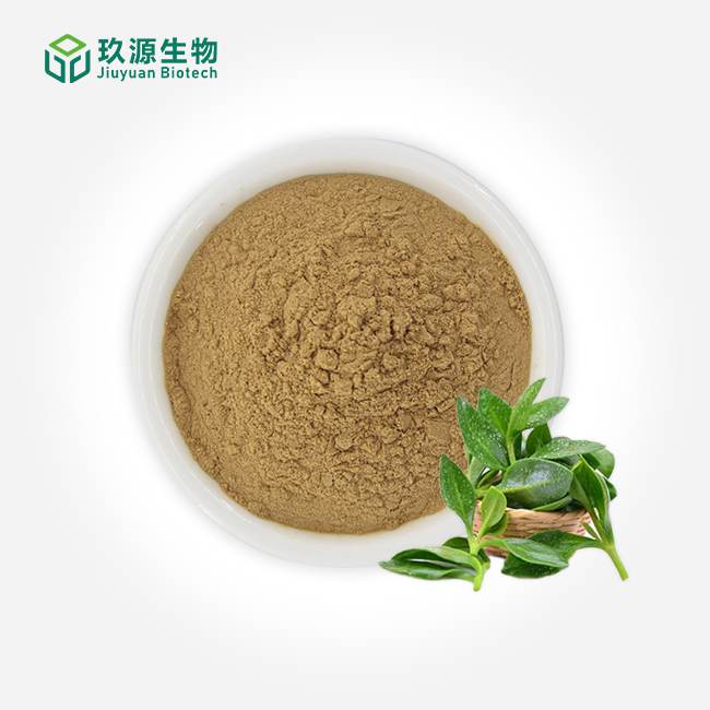 Andrographis Extract Powder