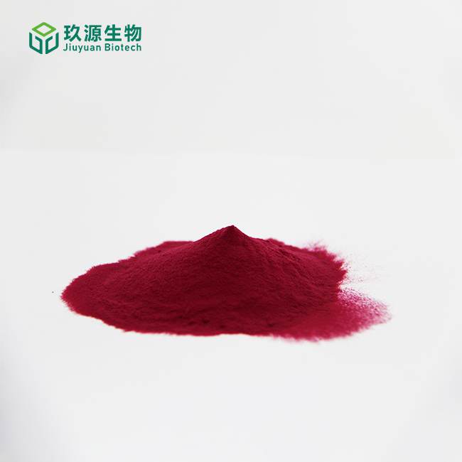 Beetroot Extract Powder 1